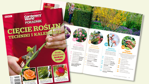 Cięcie drzew, krzewów i bylin – praktyczne porady od ekspertów Gardeners' World 