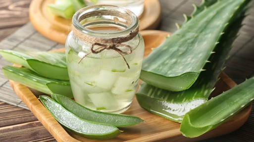 Aloes do picia? Poznaj jego właściwości i szybki przepis na sok