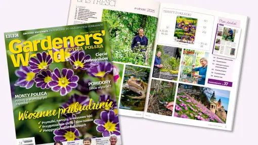 Wiosna tuż-tuż! Sprawdź, co czeka na Ciebie w najnowszym Gardeners' World Polska