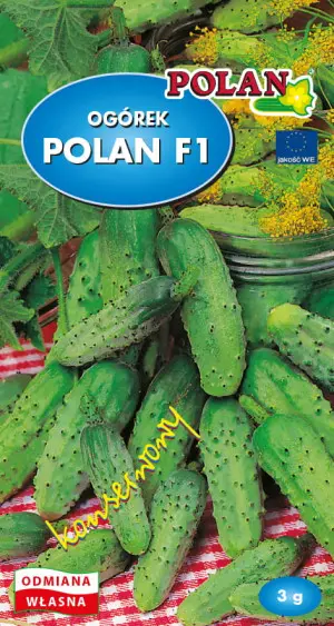 Ogórek Polan F1