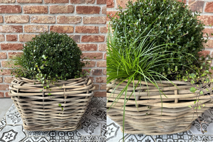 Kwadratowa donica ratanowa DRYPOT 48cm x 37cm ( gruby rattan)
