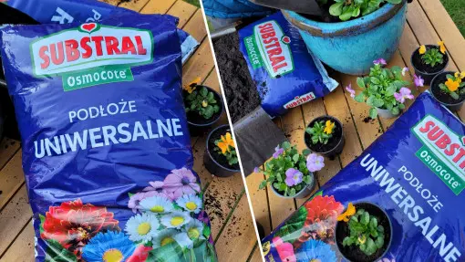 Ziemia idealna? To podłoże nadaje się do wszystkich roślin: do ogrodu i doniczki