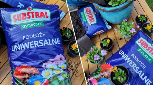 Ziemia idealna? To podłoże nadaje się do wszystkich roślin: do ogrodu i doniczki