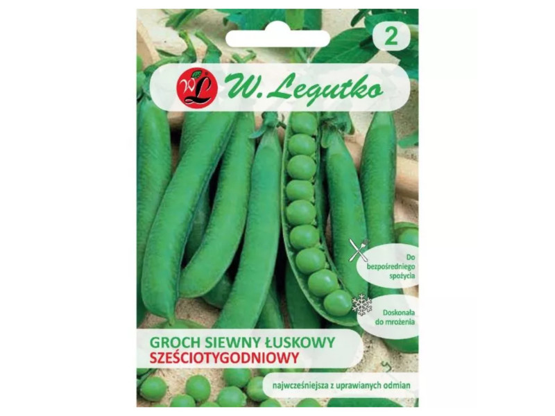 Groch łuskowy Sześciotygodniowy