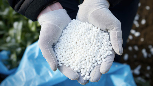 Siarczan amonu w ogrodzie. Jaki ma skład? Jak i do czego stosować?