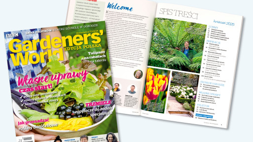 Wiosna z Gardeners’ World Polska. Kwietniowy numer otwiera sezon ogrodowy 2025 roku