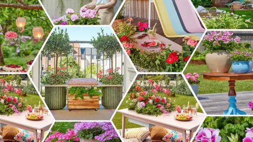 Pomysły DIY z pelargoniami – jak stworzyć meble i dekoracje do ogrodu i na balkon