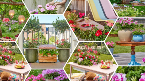 Pomysły DIY z pelargoniami – jak stworzyć meble i dekoracje do ogrodu i na balkon