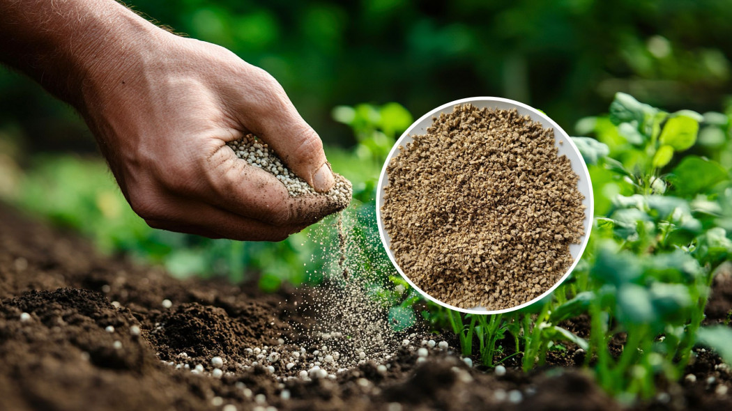 Nowa seria naturalnych nawozów Substral – odkryj moc zeolitu