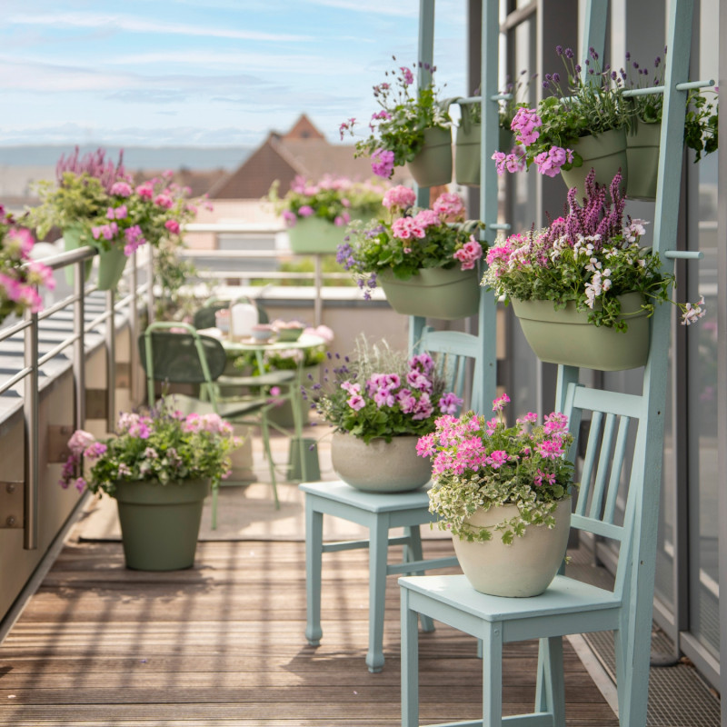 Taras z pelargoniami w pastelowych kolorach