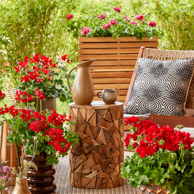 Taras z czerwonymi pelargoniami i ozdoby z drewna oraz gliny