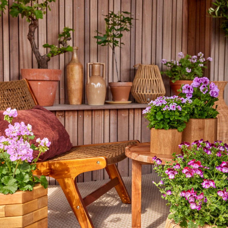 Orientalna dekoracja tarasu z pelargoniami