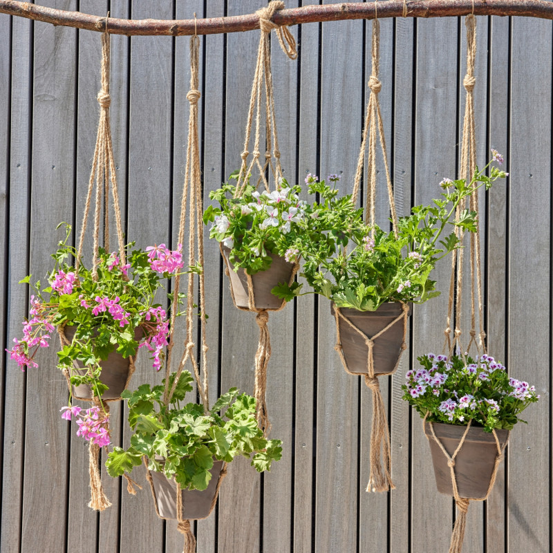 Pelargonie w makramach