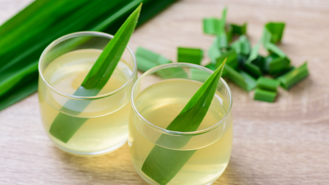 Pandan amarylkolistny (Pandanus amaryllifolius) - liście jako składnik do kuchni