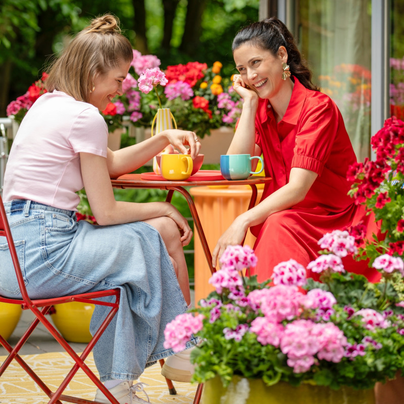 Kwiaty pelargonii w donicach na tarasie