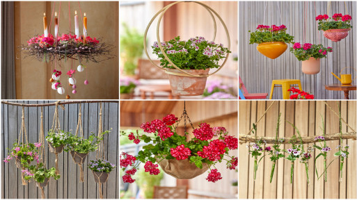 Wyższy poziom pelargonii. Stylowe pomysły na wiszące doniczki