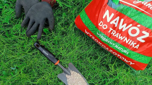 Marzy Ci się trawnik jak dywan? Zrób TO, a będzie gęsty i intensywnie zielony