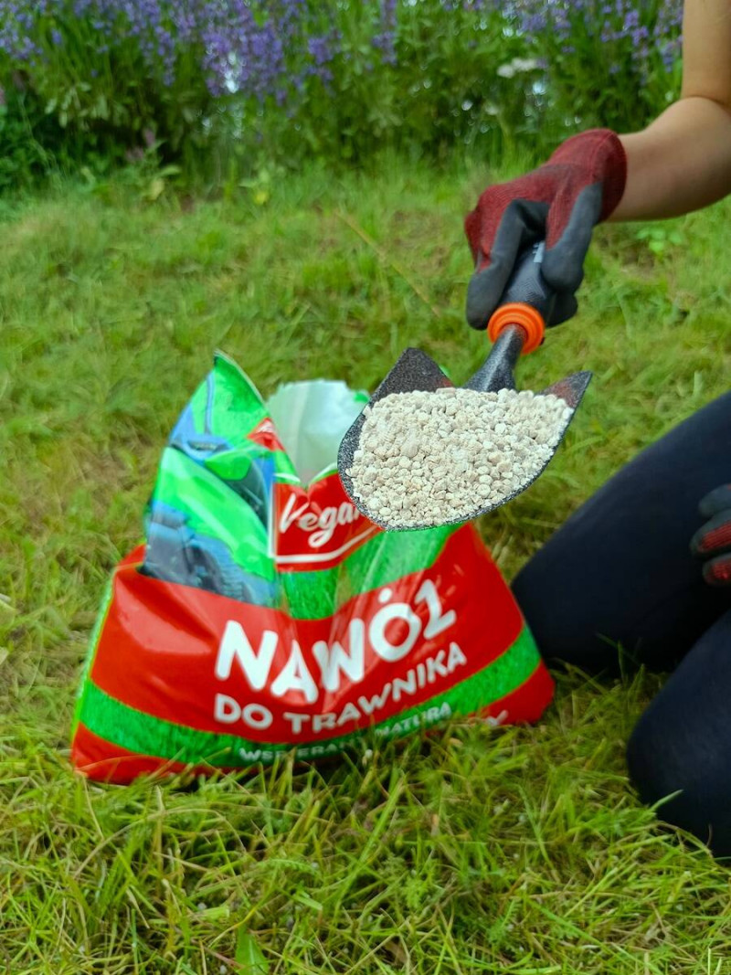 nawożenie – kluczowy zabieg regeneracyjny