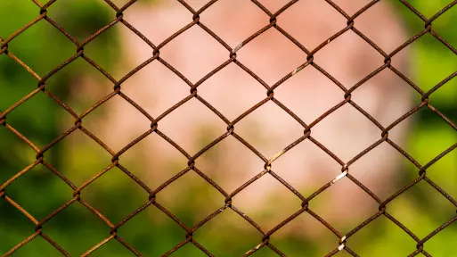 Jak odnowić starą siatkę ogrodzeniową? Krok po kroku i bez błędów