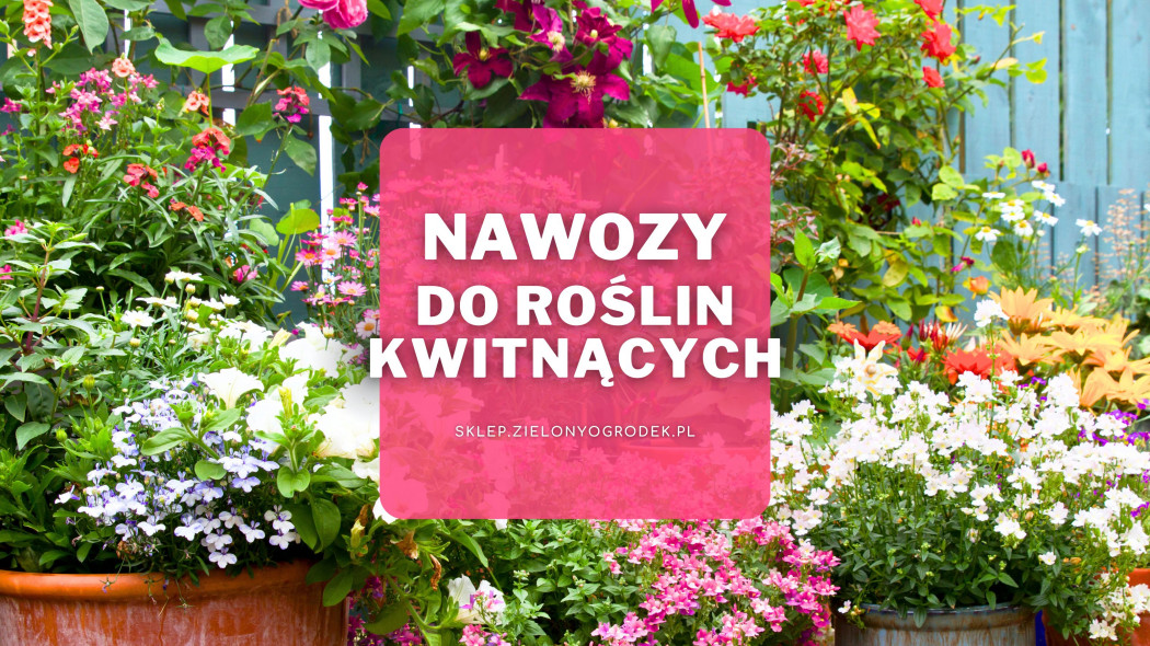 Nawozy do roślin kwitnących