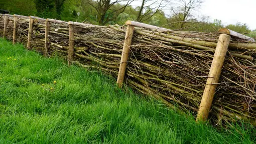 Dead hedge – martwy żywopłot. Jak i dlaczego warto założyć go w ogrodzie?