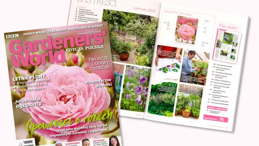 Co nowego w ogrodzie w czerwcu? Gardeners’ World podpowiada, jak czerpać z niego radość