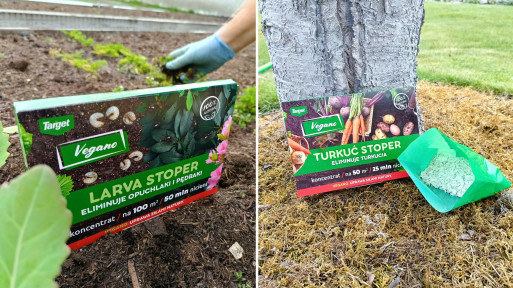 Podlej tym rośliny. Pozbędziesz się larw, pędraków i turkucia – w 100% naturalnie