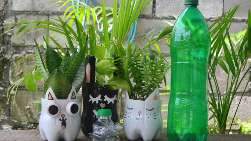 Zrób to z butelki, a każdy będzie pytać: jak stworzyć doniczki z recyklingu?