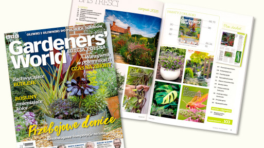 Lato pełne kwiatów i inspiracji – sięgnij po sierpniowy numer Gardeners’ World