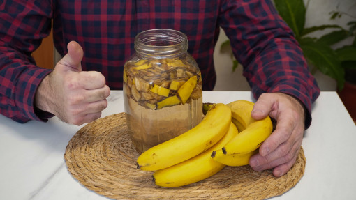 Zamiast do śmieci, wrzuć do blendera. Przepis na odżywczy shake bananowy dla roślin. Jak zrobić i stosować?