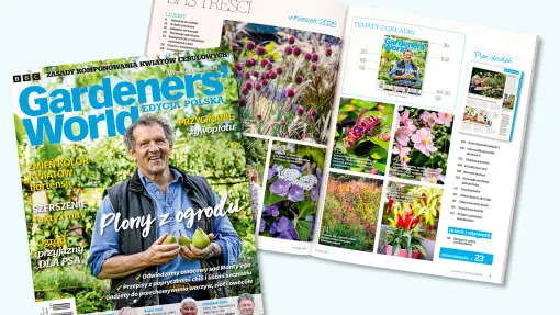 Wrześniowy Gardeners’ World –  inspiracje na koniec lata i początek jesieni