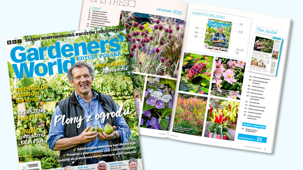 Gardeners’ World na wrzesień – pełen pomysłów, smaków i kolorów sezonu