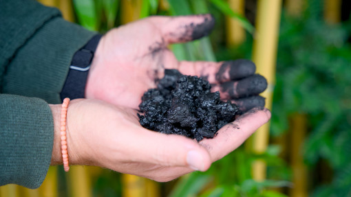 Biochar w ogrodzie. Czym różni się od węgla aktywnego i drzewnego? Jak go stosować (dawki, bezpieczeństwo, efekty)?