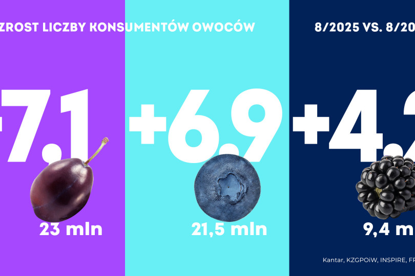 Konsumpcja owoców w sierpniu 2025 roku
