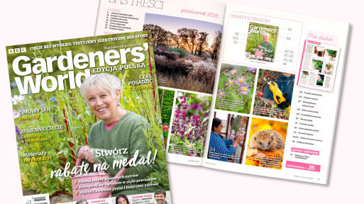 Ogród jesienią pełen pomysłów – w październikowym Gardeners’ World Polska