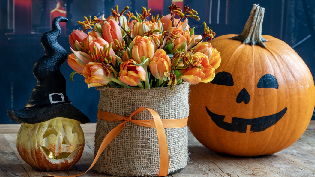 Bukiet tulipanów w klimatycznej oprawie z dynią i czarodziejskim kapeluszem to dowód, że Halloween nie musi być tylko czarne i pomarańczowe – może być też kwitnące!