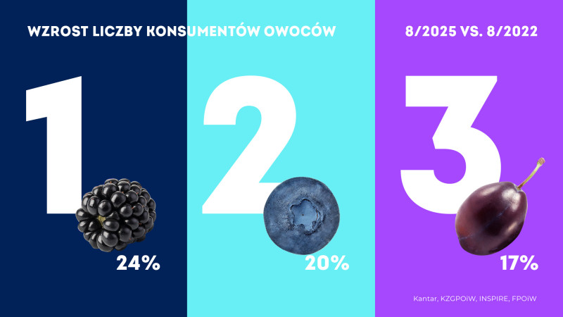 Polacy jedzą coraz więcej jeżyn – rekordowe wyniki konsumpcji