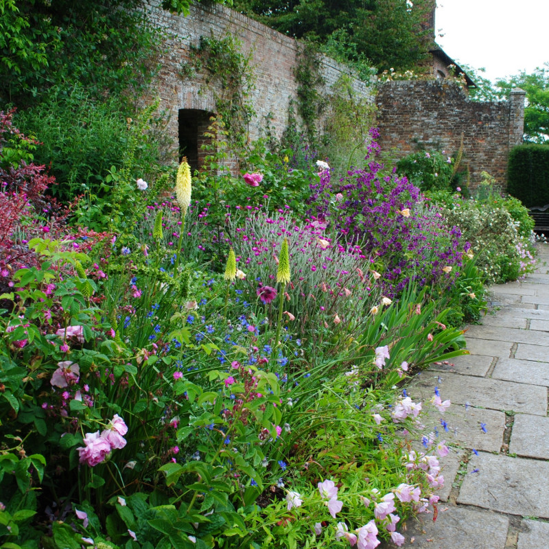 Kwitnąca czerwcowa rabata w angielskim ogrodzie Sissinghurst Castle