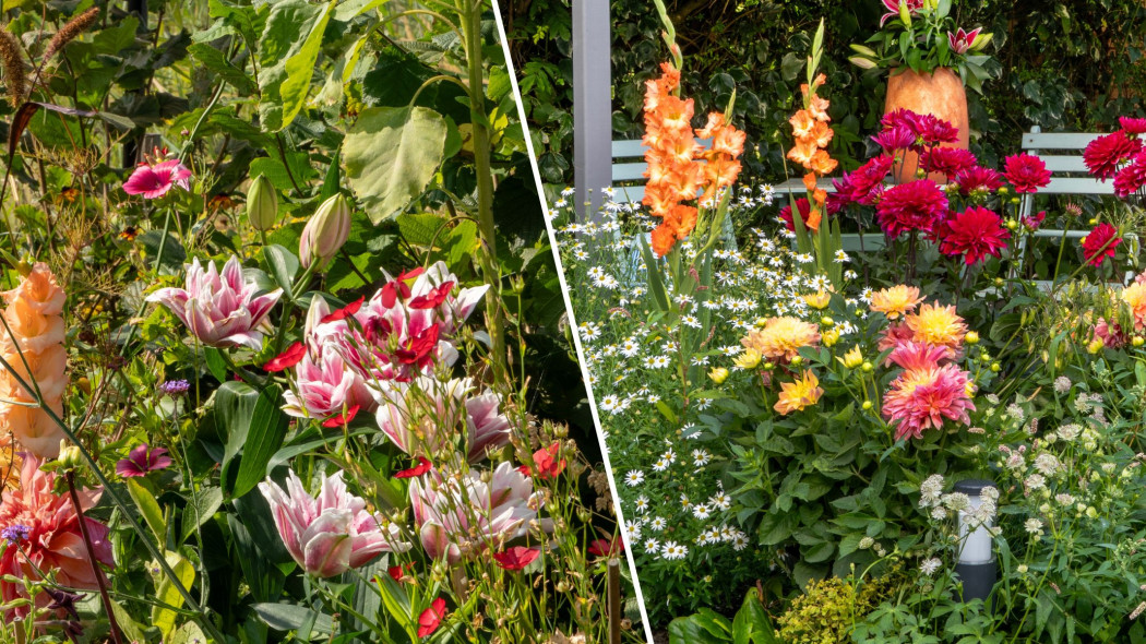 Odrobina nostalgii i odważne kolory – ogrodnicze trendy 2026 roku