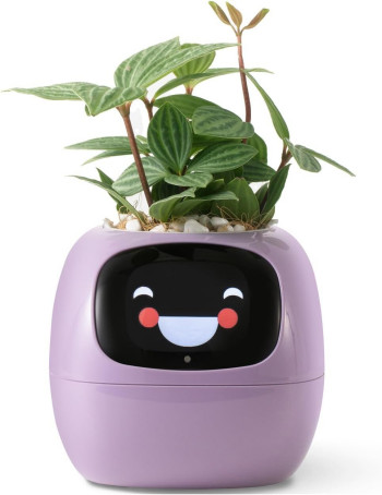 Doniczka inteligentna PLANTSIO IVY