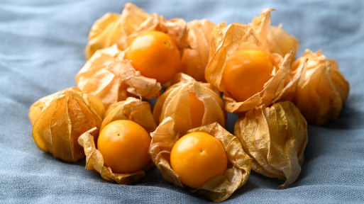 Owoce, które trudno kupić w sklepie. Jak uprawiać rodzynek brazylijski w ogrodzie?