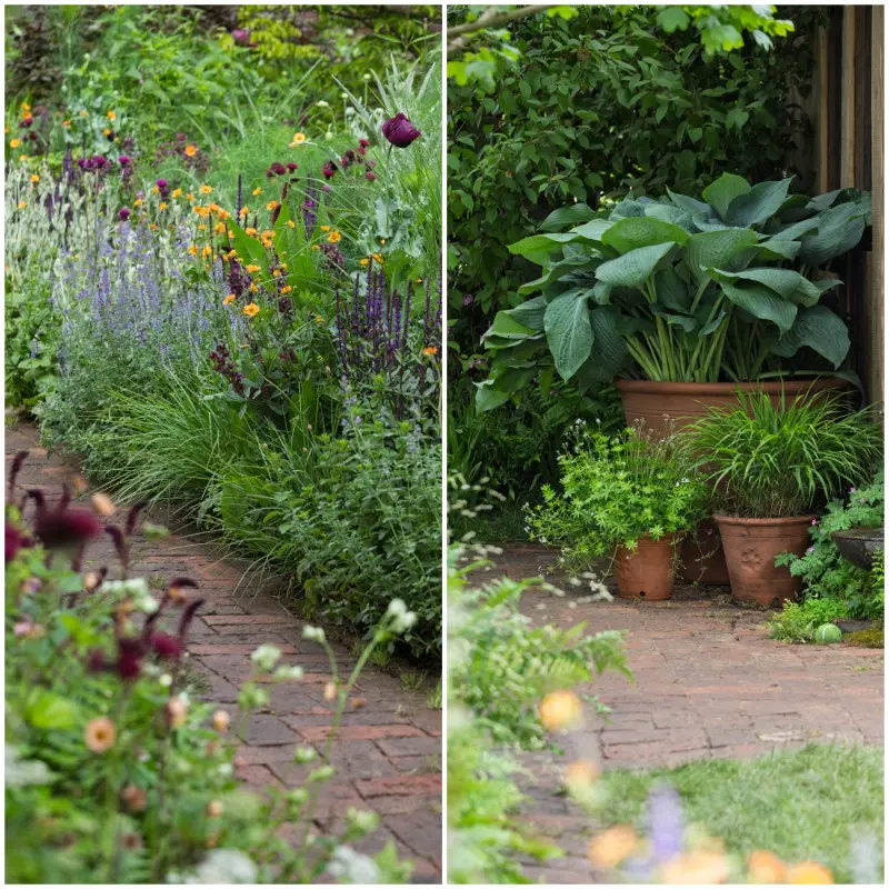 Fragment Dog Garden