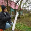 Myjki wysokociśnieniowe w ogrodzie. Do czego się przydają i jaki model wybrać?