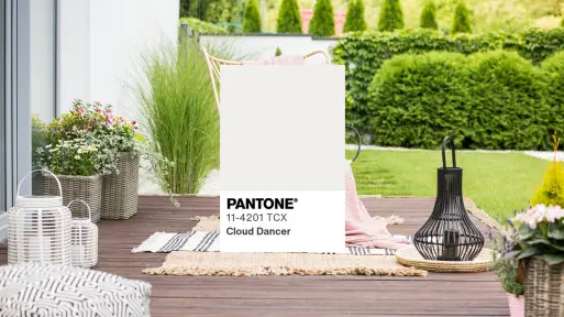 Kolor Pantone 2026 roku wchodzi do ogrodów. Sprawdź, jak wprowadzić Cloud Dancer