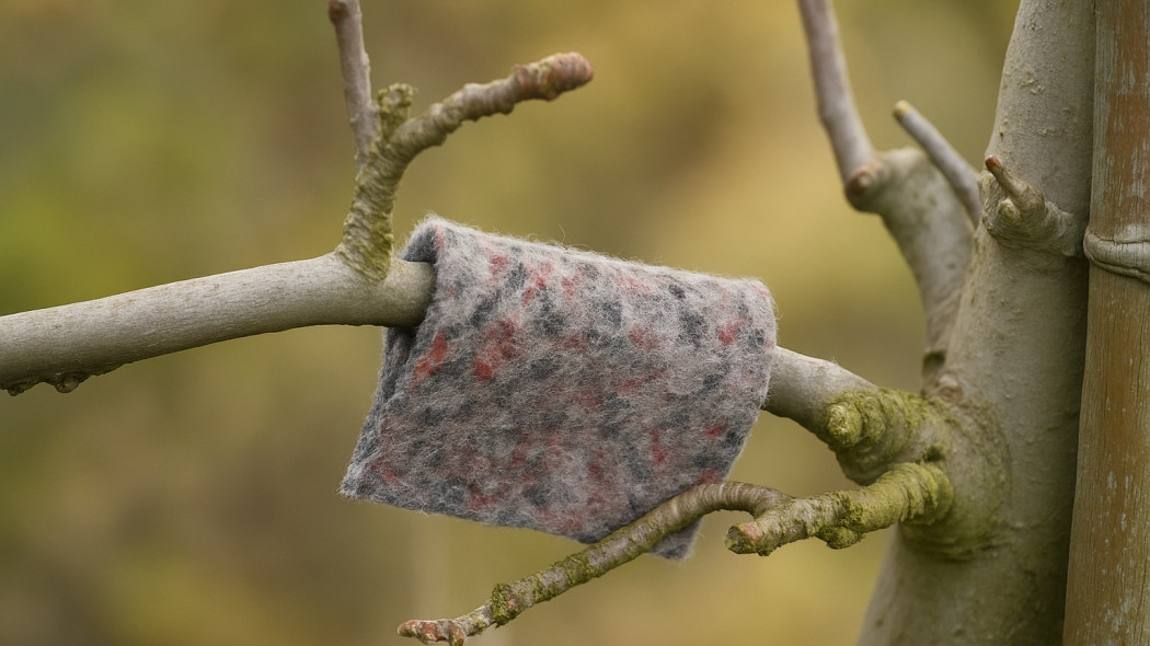 Naturalne wsparcie w walce z przędziorkami, szpecielami i larwami wciornastków