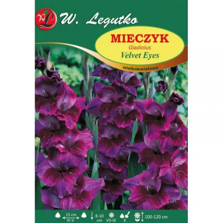 Mieczyk Velvet Eyes