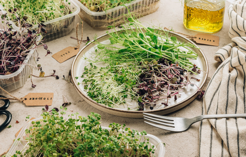 Domowy superfood