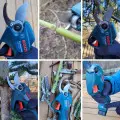 Sekator akumulatorowy Bosch – jak działa i czy warto go mieć? Testujemy w naszym ogrodzie