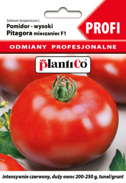 Pomidor PITAGORA F1