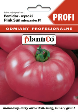 Pomidor PINK SUN F1